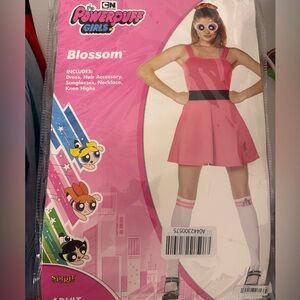 Women’s Powerpuff girls costume